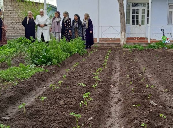 Beneficiaries of the Seva Grant Program